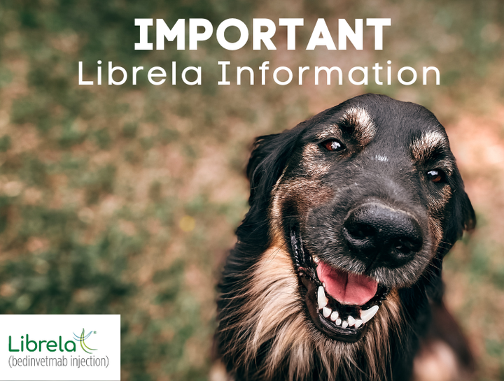 Important Librela Information